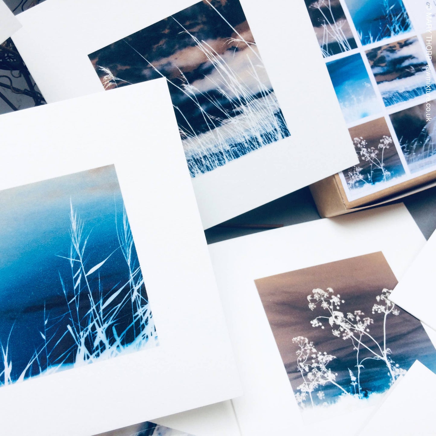 West Wind Collection - Box of 9 small note cards