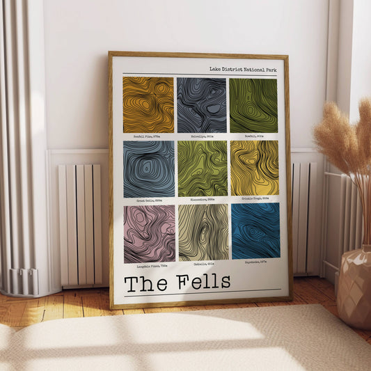 Lake District Fells Contour Print: Multi Colour Earth / A3