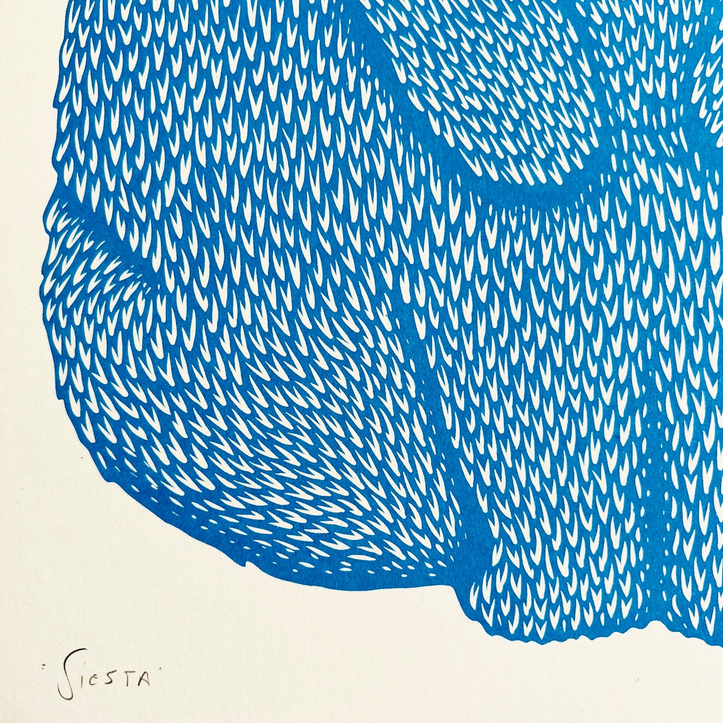 Siesta Risoprint
