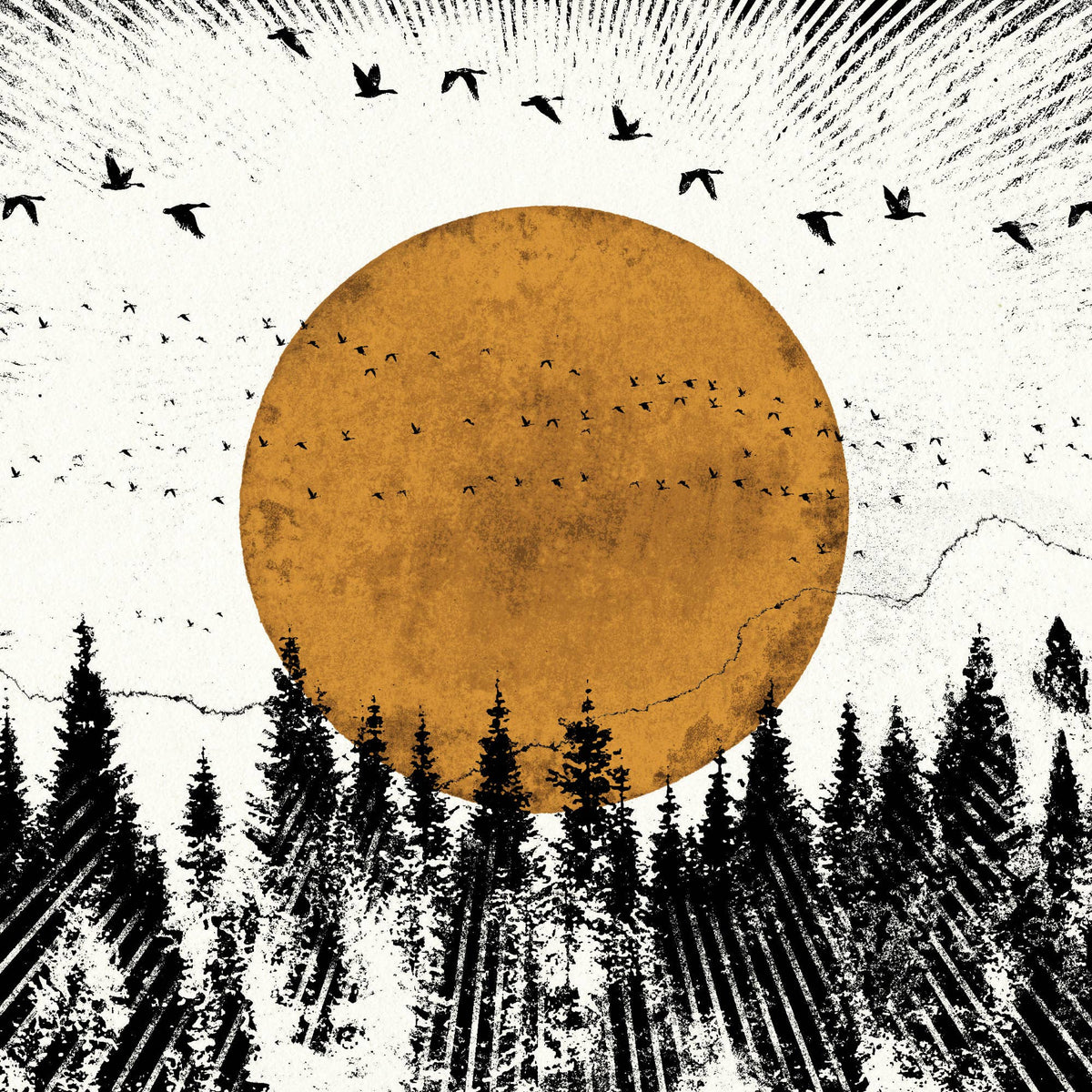Forest View, A3 Digital Print