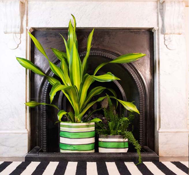 Eco Woven Plant Pot Cover In Grass Green, Indigo & Pearl