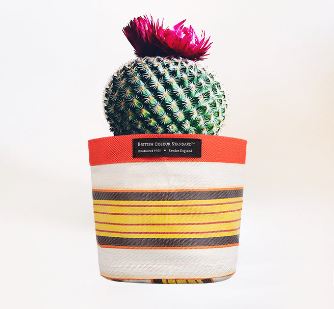 Eco Woven Plant Pot Cover In Tuscan Yellow, Pearl & Rose Beige