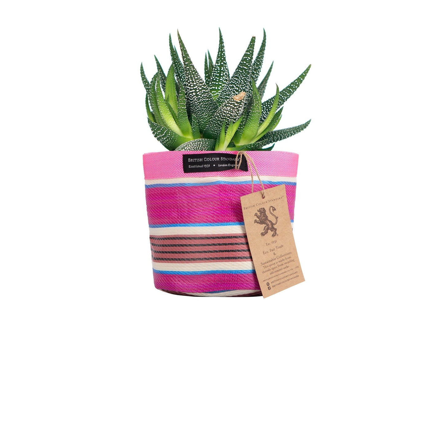 Eco Woven Plant Pot Cover In Neyron Pink, Pompadour & Pearl