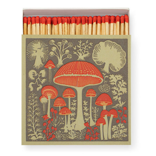 Mushrooms Match Box