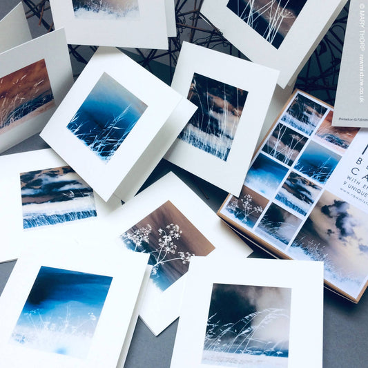 West Wind Collection - Box of 9 small note cards