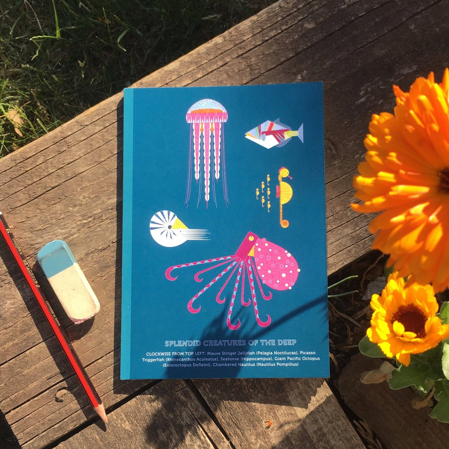 Sea Creatures A5 Eco Friendly Notebook