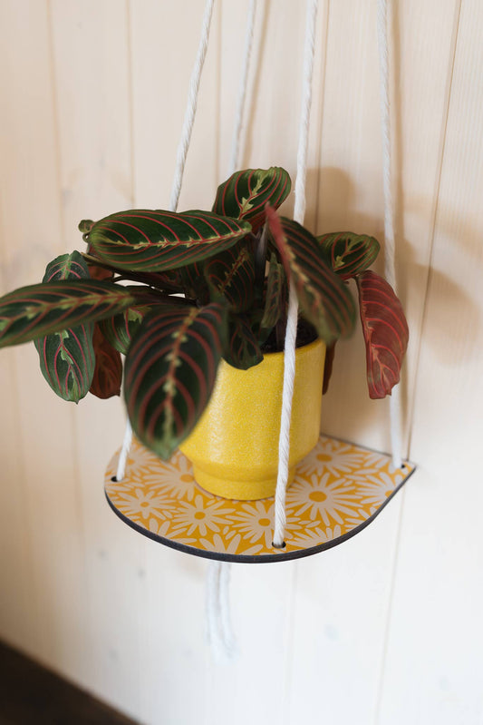 Hanging Plant Shelf - Daisy - Yellow