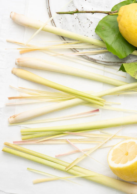 Lemongrass Soap Bar