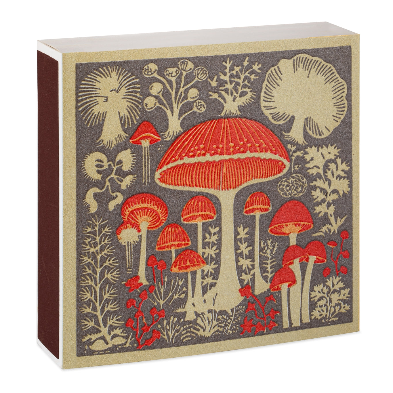 Mushrooms Match Box