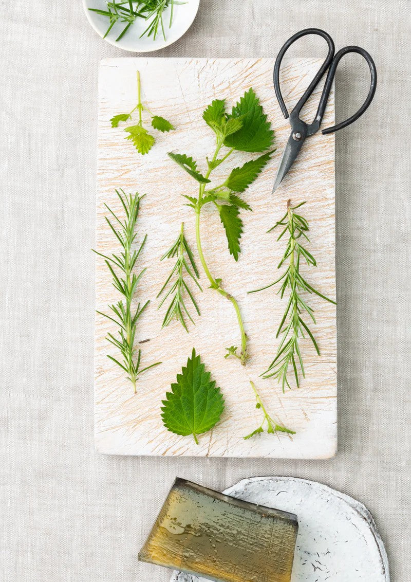 Rosemary and Nettle Soap Bar