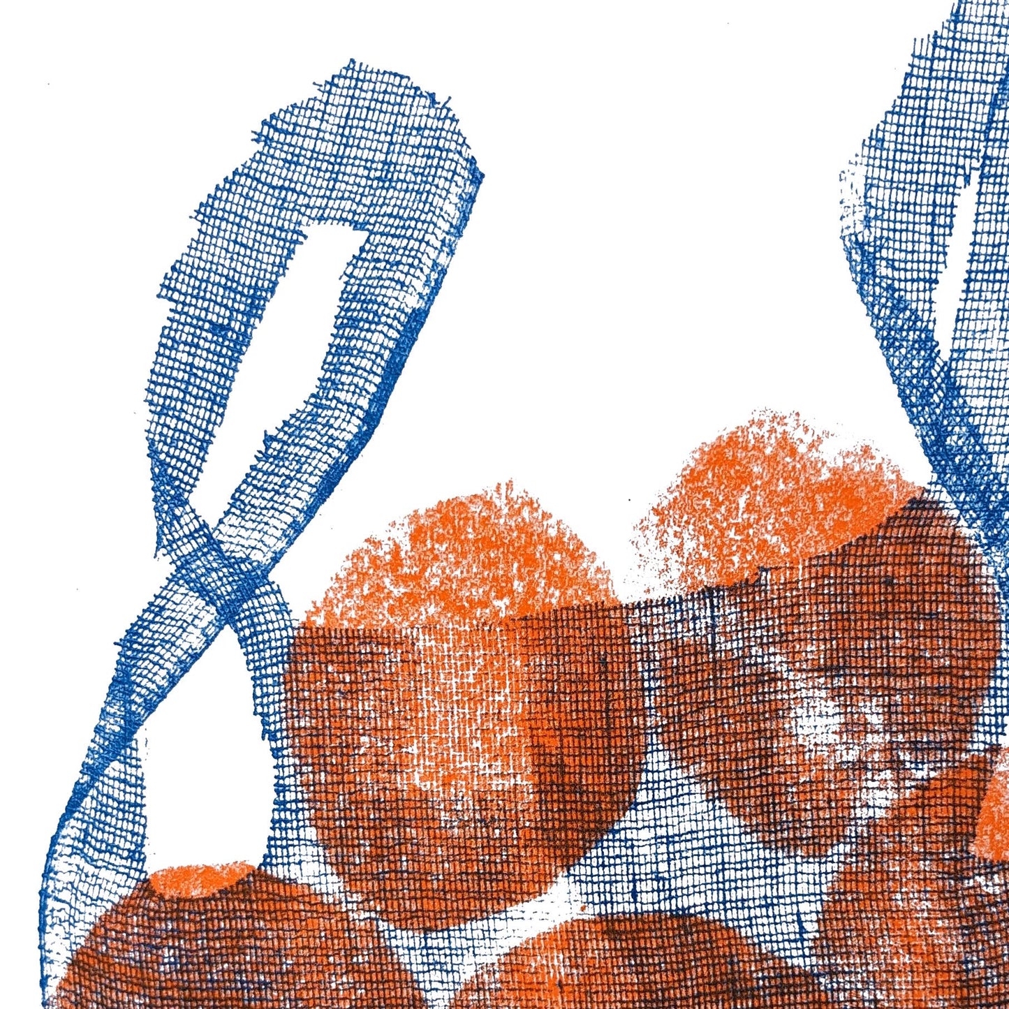 Oranges In Net Bag A3 Print