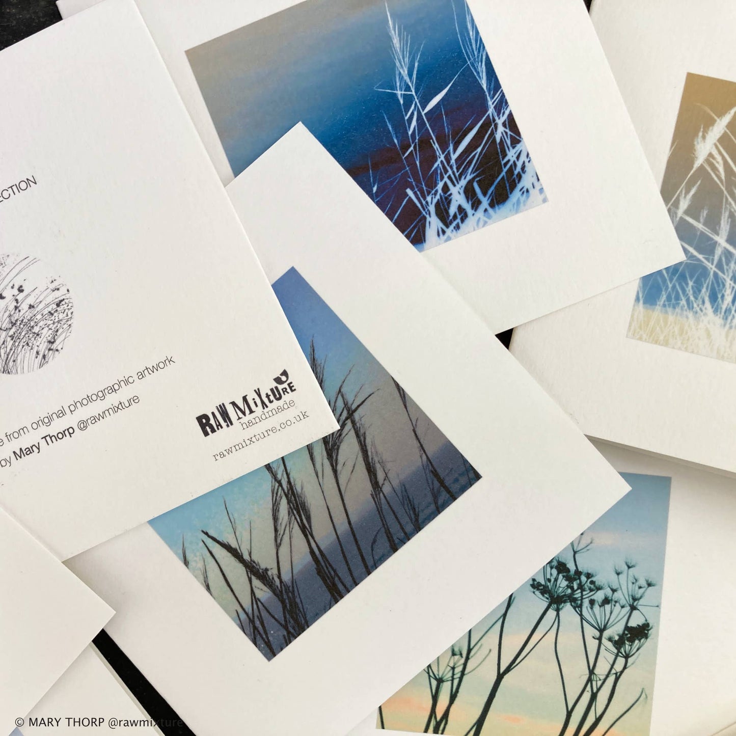 Sea Grass Collection - Box of 9 small note cards