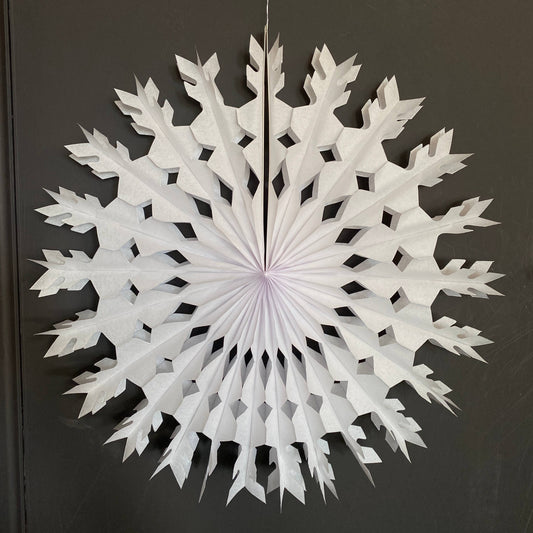 Large Feather Paper Fan - in White