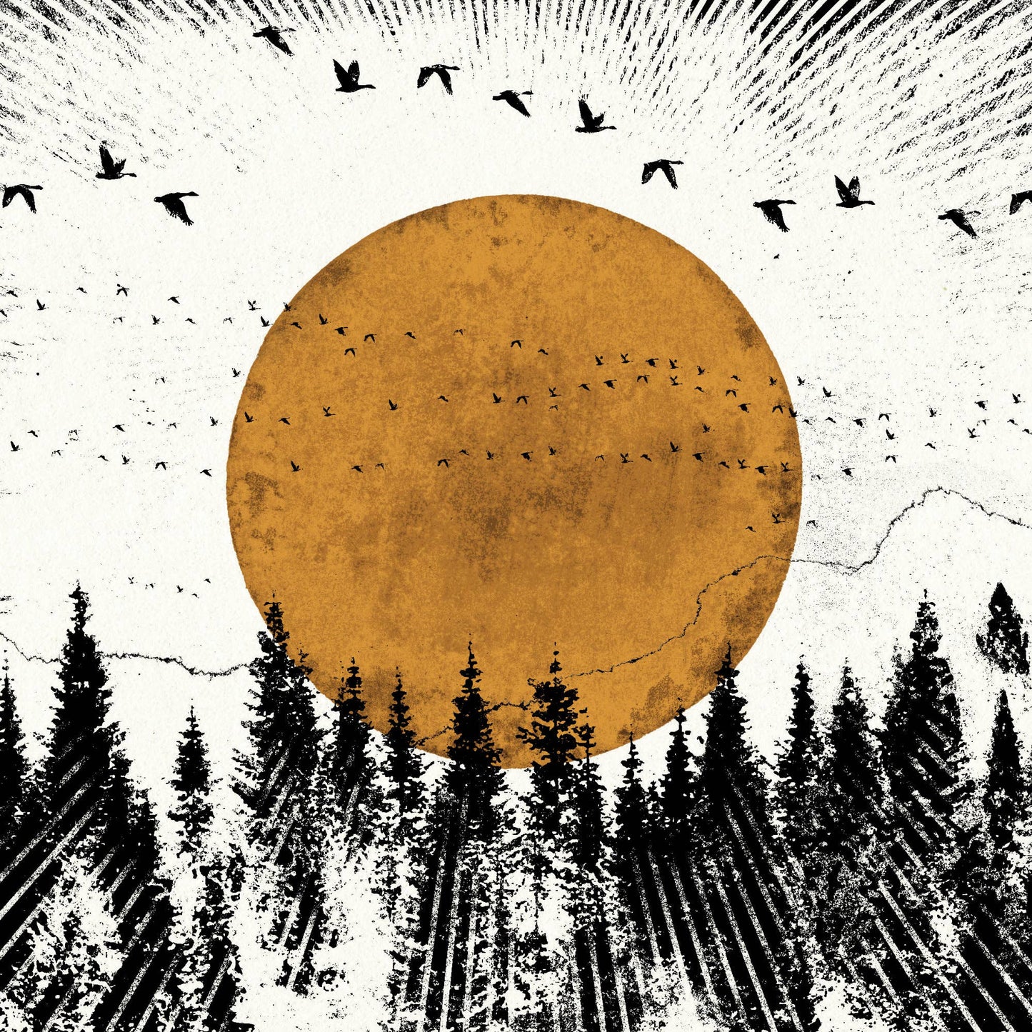 Forest View, A3 Digital Print