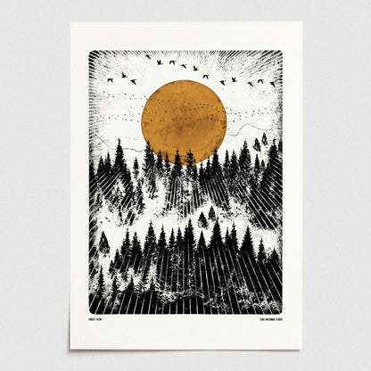 Forest View, A4 Digital Print