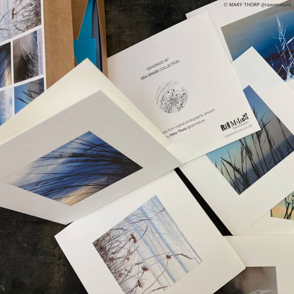 Sea Grass Collection - Box of 9 small note cards