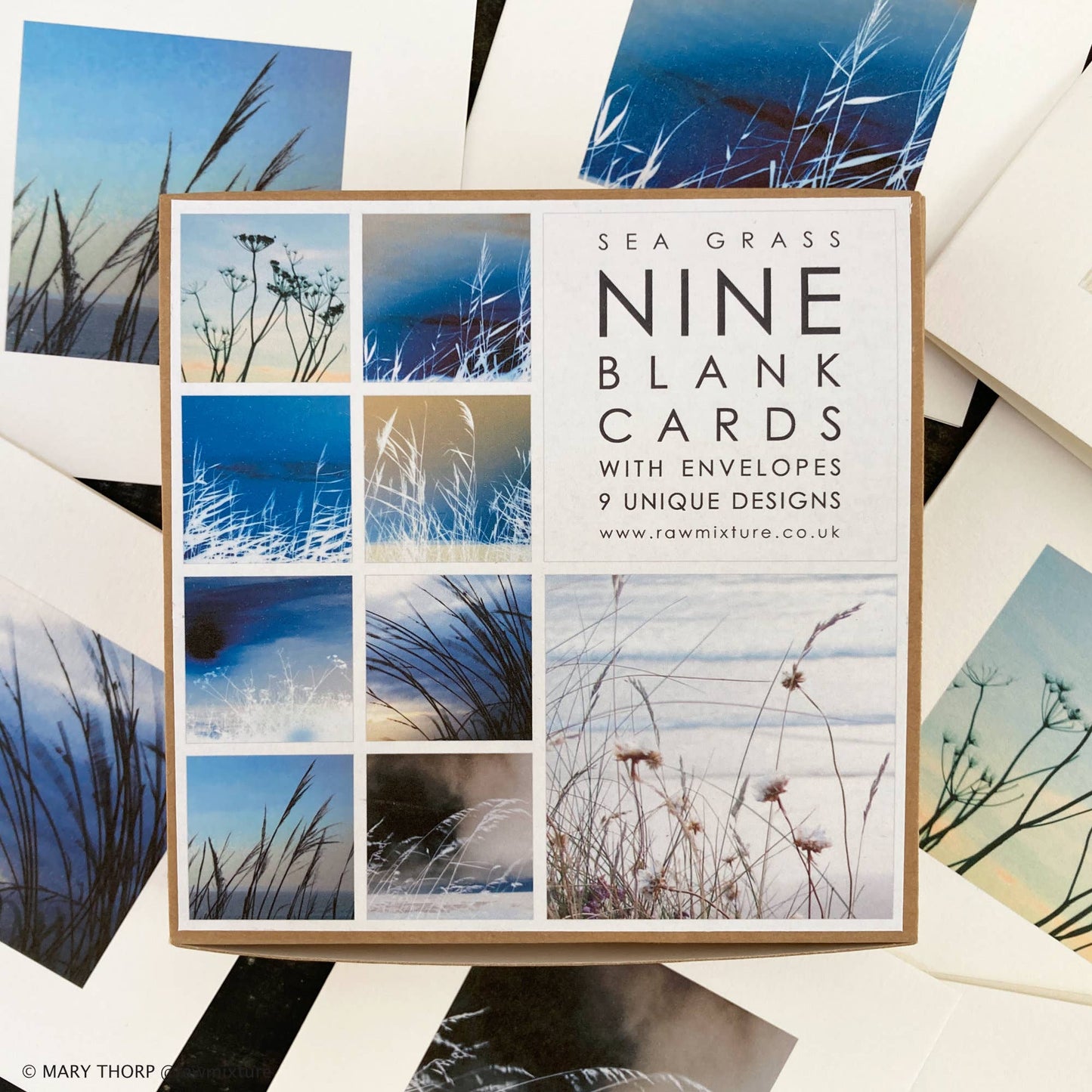 Sea Grass Collection - Box of 9 small note cards