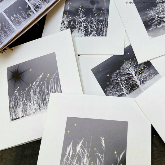 Winter Stars Collection - Box of 9 small note cards