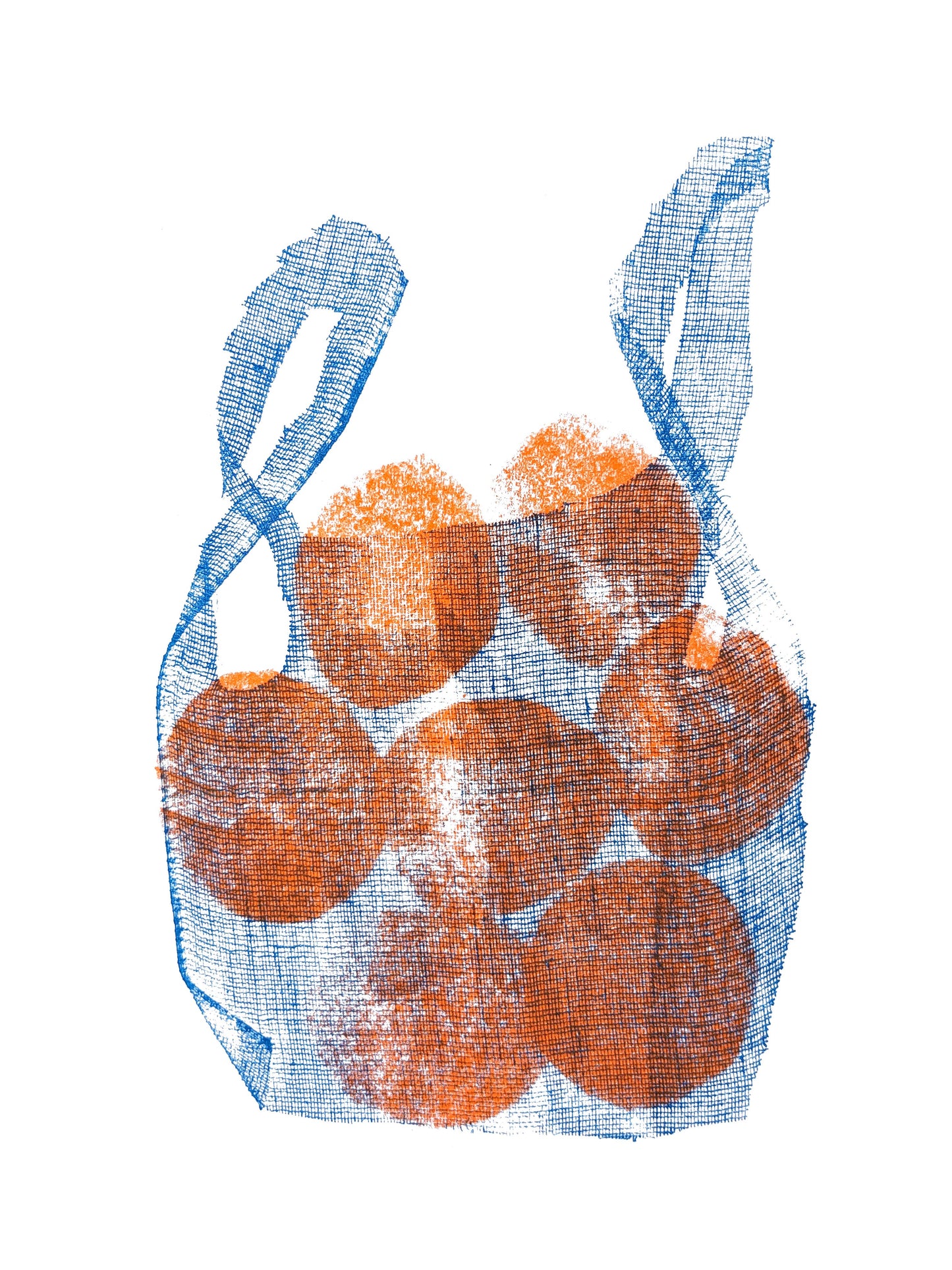 Oranges In Net Bag A3 Print