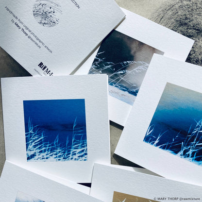 Sea Grass Collection - Box of 9 small note cards