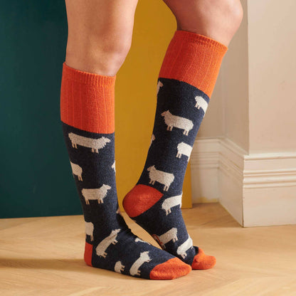 Women's Lambswool Boot / Long Socks : Sheep - blue