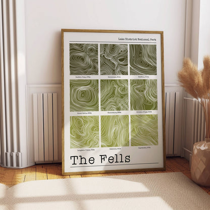 Lake District Fells Contour Print: Multi Colour Earth / A3