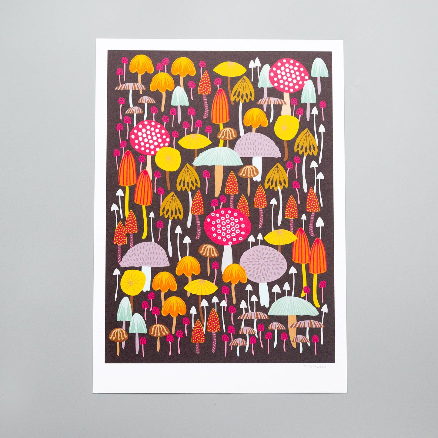 Toadstools & Mushrooms A4 Art Print